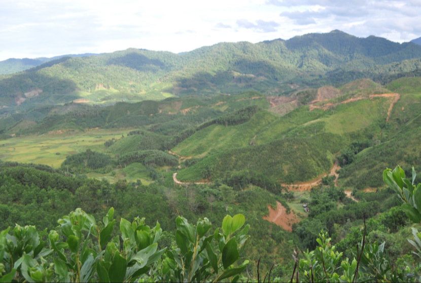 GSP-00038 Nuevo Dualit Tostadora Roja Potencia Luz Neón Bombilla 230V